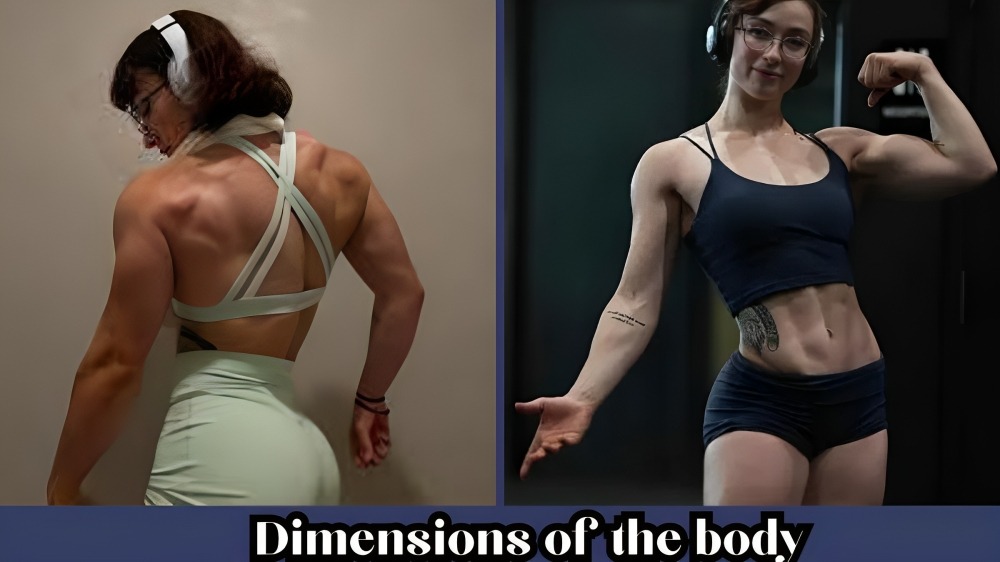 Dimensions of the body